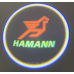 Логотип підсвічування двері HAMANN Lazer door HAMANN Логотип підсвічування двері HAMANN Lazer door HAMANN