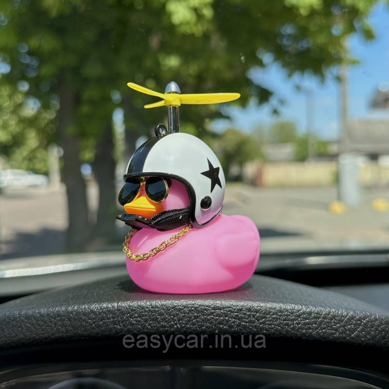 Качка декоративна Рожева в шоломі Качка декоративна Рожева в шоломі