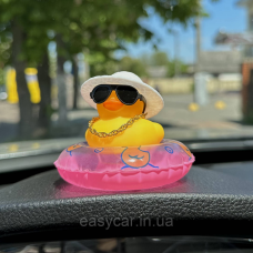 Качка декоративна на Рожевому колі