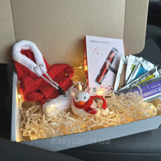 Новорічний подарунковий набір для автомобіліста