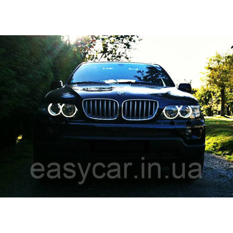CCFL Ангельські оченята на BMW E53 дорестайл Білі CCFL Ангельські оченята на BMW E53 дорестайл Білі