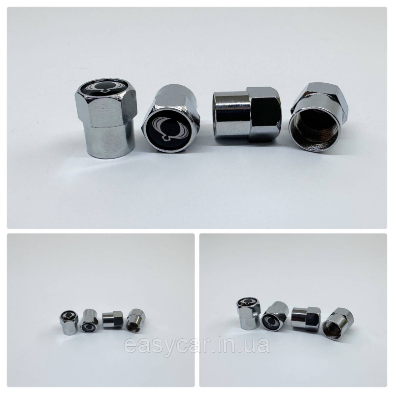 Захисні ковпачки на ніпеля  SsangYong 4 шт. Хром